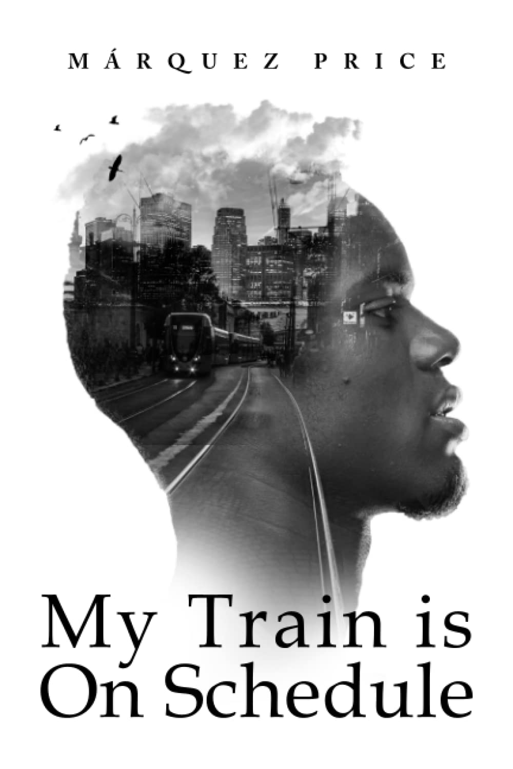 My Train is On Schedule (Paperback)